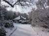 Blackdown Country Cottage - thumbnail photo 18