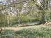 Blackdown Country Cottage - thumbnail photo 19