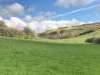 Langford Valley Stables - thumbnail photo 5