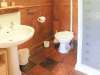 Endymion Pet-Friendly Cabin, New Forest National Park - thumbnail photo 8